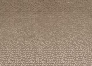 Фото - Ткани Clarke&Clarke Tempo Velvets - 297069>