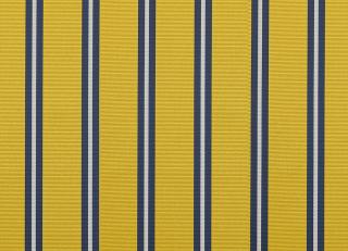 Фото - Ткани Dedar Regimen - 549974>