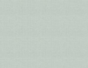 Фото - Ткани Ian Mankin Dyed Plains - 385501>