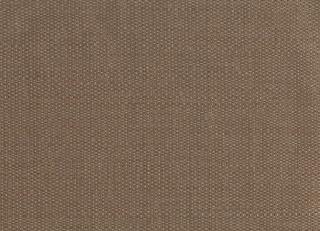 Фото - Обои Sirpi Forest - 454597>