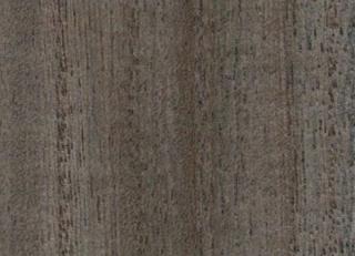 Фото - Обои Yana Svetlova Paulownia - 572461>