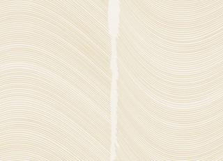 Фото - Обои Loymina Equilibre - 419428>