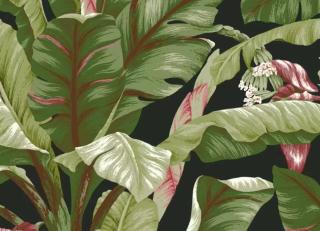 Фото - Обои York Wallcoverings Tropics - 548840>