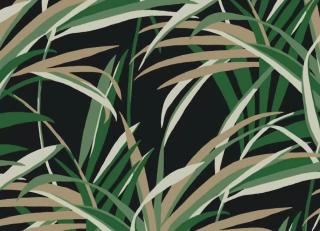 Фото - Обои York Wallcoverings Tropics - 548848>