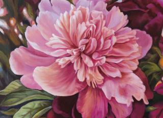 Фото - Обои Ortograf Елена Самарская - 479058>