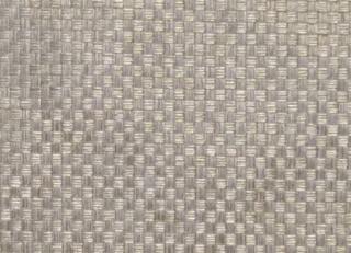 Фото - Ткани Prestigious Textiles Skandic - 272659>