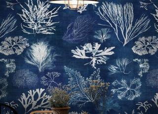 Фото - Обои для стен Mindthegap - 405263>