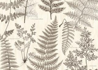 Фото - Обои Eijffinger Geonature - 351458>