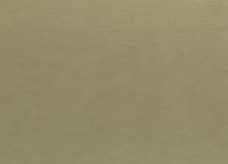 Фото - Ткани Clarke&Clarke Java - 403706>