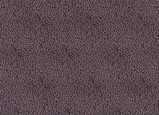 Фото - Ткани Osborne & Little Waldorf - 325257>