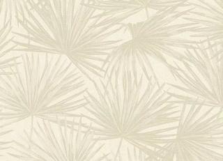 Фото - Обои Shinhan Focus - 554893>