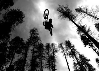 Фото - Обои Mr Perswall Adventure - 234441>