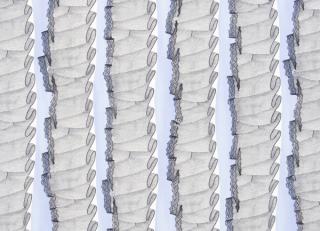 Фото - Ткани Christian Lacroix - 281725>