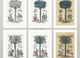 Фото - Обои MuralSources Print Shop collection - 401755>