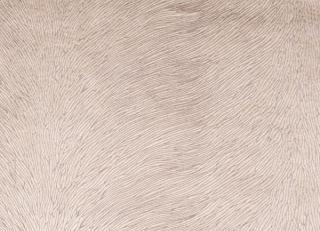 Фото - Ткани Gancedo Passion - 491842>