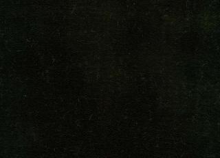 Фото - Ткани Rubelli Martora - 492405>