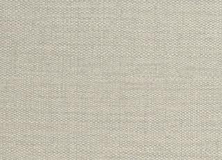 Фото - Обои Sirpi Forest - 454594>