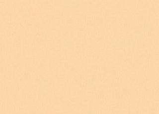 Фото - Обои Architects Paper Floral Impression - 539889>