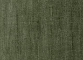 Фото - Ткани Dedar Pergamena - 549002>