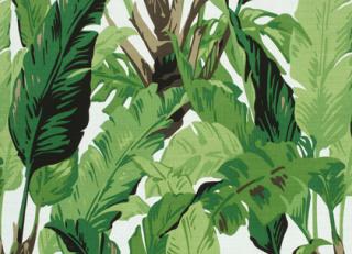 Фото - Ткани Thibaut Tropics - 529856>