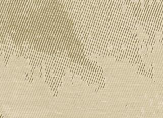 Фото - Ткани Armani Casa Namur - 538832>