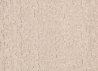 Фото - Ткани Villa Nova Artesia - 418512>