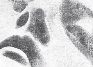 Фото - Обои Tecnografica Decora Stucco - 341438>