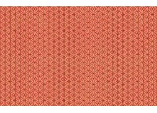 Фото - Обои Texam Element - 425508>