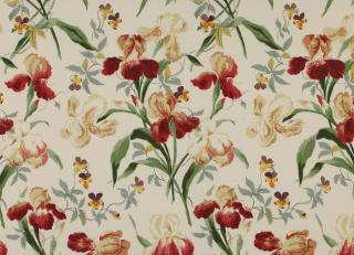 Фото - Ткани Colefax and Fowler Classic Prints I - 258500>