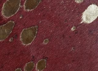 Фото - Аксессуары Pavoni Кожа Vitellina Pelo - 589035>