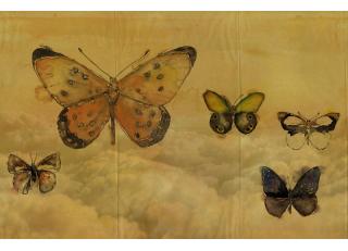 Фото - Обои Wall&Deco CODE 2014 CONTEMPORARY - 463721>