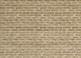 Фото - Ткани Lorenzo Castillo Volumen Iii - 428033>