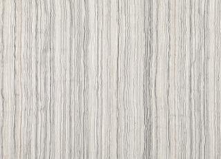 Фото - Ткани Villa Nova Xander - 490167>