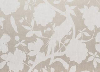 Фото - Обои Equipo DRT Saraceno - 405658>