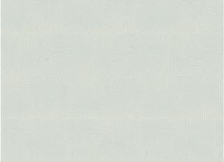 Фото - Обои Armani Casa Refined Structures 2 - 568597>