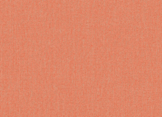 Фото - Обои Jannelli & Volpi JV505 Grande Corniche - 625645>