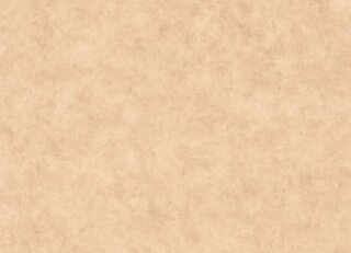 Фото - Обои Caselio Beton 2 - 631914>