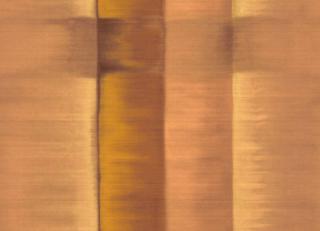 Фото - Обои Elitis Tribus - 621592>