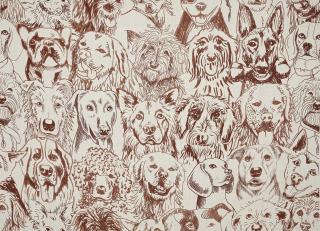 Фото - Ткани Pierre Frey The Surreal World Collection - 537232>