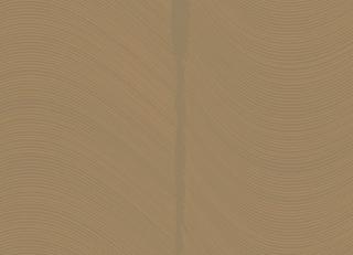 Фото - Обои Loymina Equilibre - 419432>