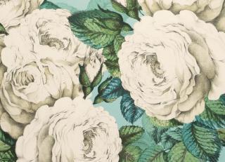 Фото - Обои Designers Guild John Derian - Picture Book - 412189>