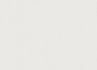 Фото - Ткани Creation Baumann Sport - 633020>