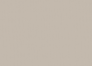 Фото - Ткани Creation Baumann Sport - 633035>