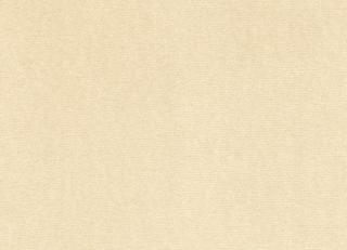 Фото - Ткани Clarke&Clarke Salon - 404758>