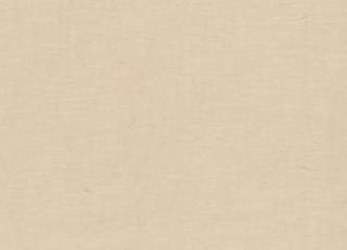 Фото - Ткани Дом CARO Sheerful - 533321>