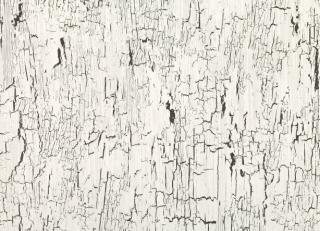 Фото - Обои Black Edition Kansai Wallcoverings - 321018>