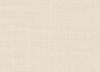 Фото - Ткани Clarke&Clarke Portfolio Plains and Textures - 296936>