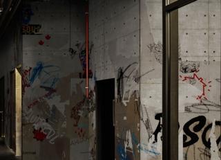 Фото - Обои Londonart Design Dsquared2 - 542406>