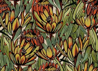 Фото - Обои Decoprint Brazil - 618656>