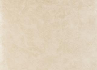 Фото - Обои Clarke&Clarke Floribunda - 193610>